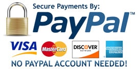 Pay Online With Paypal